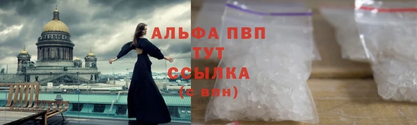МДПВ Каменногорск