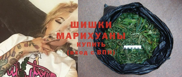 МДПВ Каменногорск